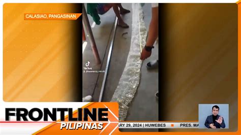 Balat ng mahabang sawa, nakuha ng mga residente sa Calasiao, .